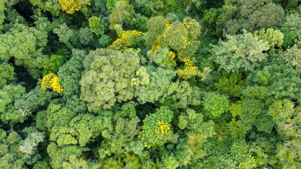 Élégance Éternelle : Voyage au Coeur de la Mode Classique à Travers les Âges